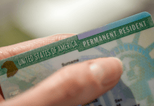 DHS Launches Green Card Review Targeting Past Cases