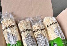 Korean Enoki Mushrooms Recalled Over Possible Listeria Contamination