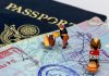 H-1B Visa Investigation Expands Under Trump Administration H-1B Visa Investigation