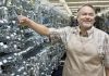 California Consumer Confidence Defies National Gloom, Rises 5%