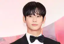 Kim Soo-hyun Indonesia Public Stage: Emotional Return After 17 Months Kim Soo-hyun Indonesia public stage