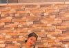 Han Groo Instagram Update: Stuns Fans in Chic Fitted Dress Han Groo Instagram Update