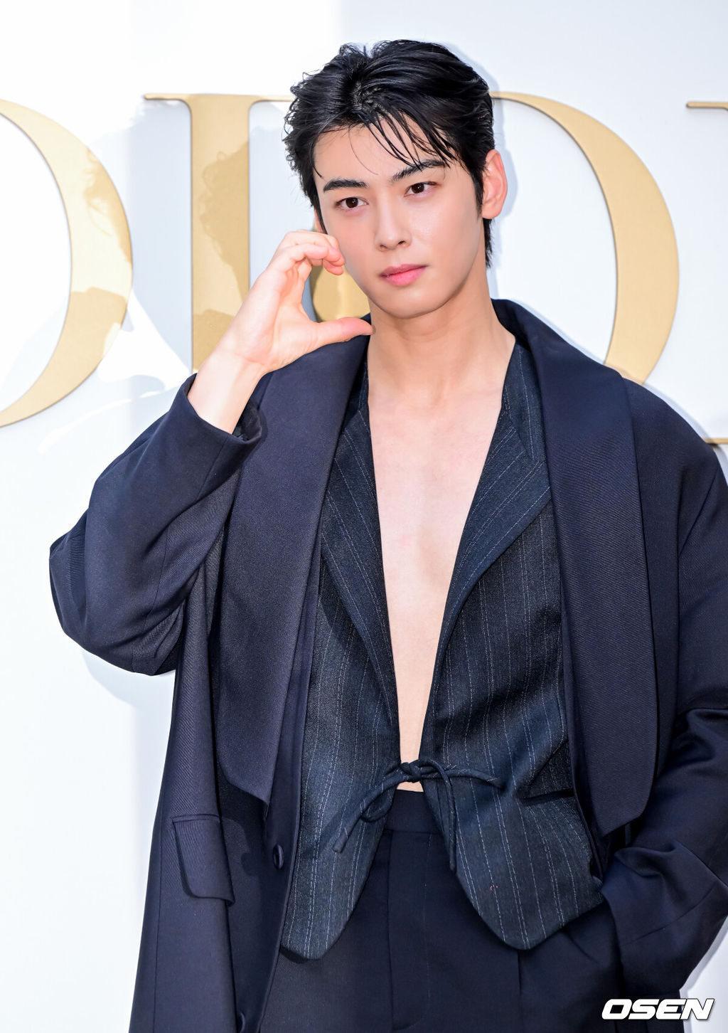 Cha Eun-woo Seorabeol Life Comeback Project
