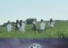 izna β Dreamy Visuals & DUMB HOT! MV Teaser izna