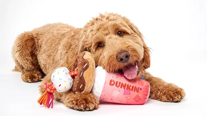 Dunkin Dog Drive Thru