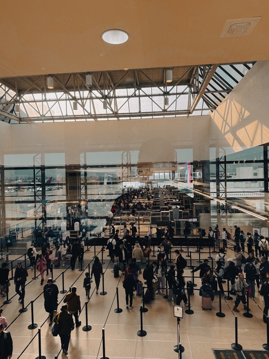 ICE Domestic Flight Arrests