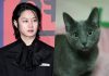 Super Junior Kim Heechul — Heartbreaking Farewell to 20-Year Cat Super Junior Kim Heechul