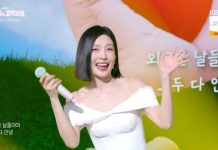 Red Velvet Joy — Reveals Past Anxiety About Aging at 29 Red Velvet Joy