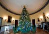 2026 White House Christmas Tree β Wisconsin Farm Selected for Grand Honor 2026 White House Christmas Tree
