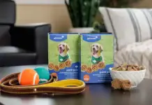 Girl Scout Dog Cookies Are Finally Coming in January! Girl Scout Dog Cookies