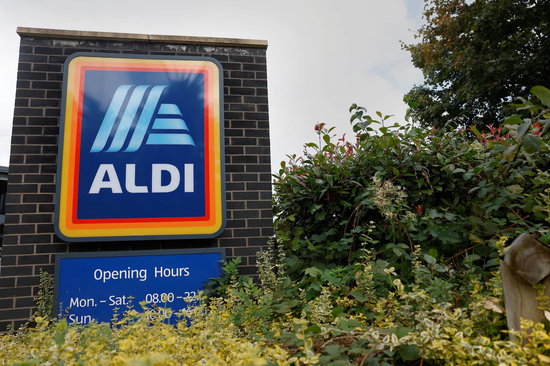 Aldi Price Cuts Fall