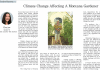 Climate Change Affecting A Montana Gardener