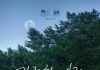 Chicago International Film Festival — Korean Movie ‘Possible Love’ Highlighted Chicago International Film Festival