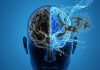 dementia prevention — Listen to This Every Day to Lower Dementia Risk by 39% dementia prevention