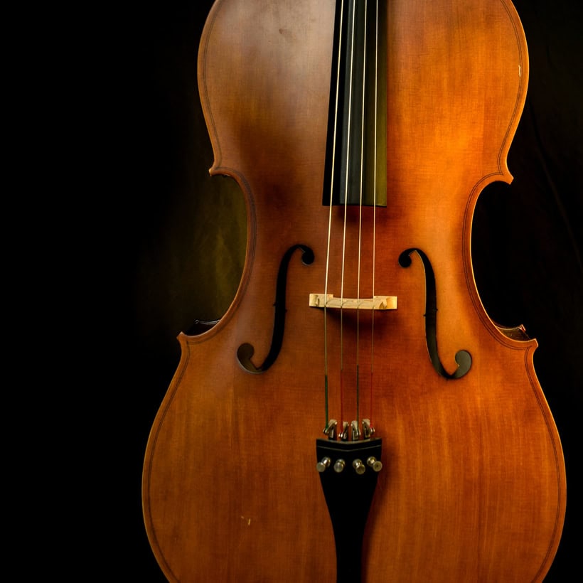 Music Inmstruments Student Musical Instruments — Price Surge Threatens School Music Programs