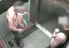 Flamingo theft — Tourist Faces 4.5 Years in Prison After Drunken Prank Flamingo theft
